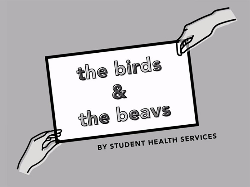 birds and beavs archive